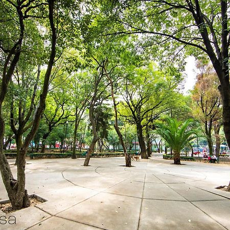 Sophisticated Park Venue Apartment Near Polanco - Nadal 101 멕시코 시 외부 사진